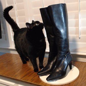 Joan & David Circa leather boots tall shaft pointy toe size 8 black